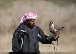 "هيئة البيئة في أبوظبي".. بدء موسم الصيد بالصقور اعتبارا من 20 أكتوبر