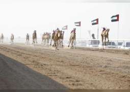 Sultan bin Hamdan attends second day race of Al Dhafra Camel Racing Festival