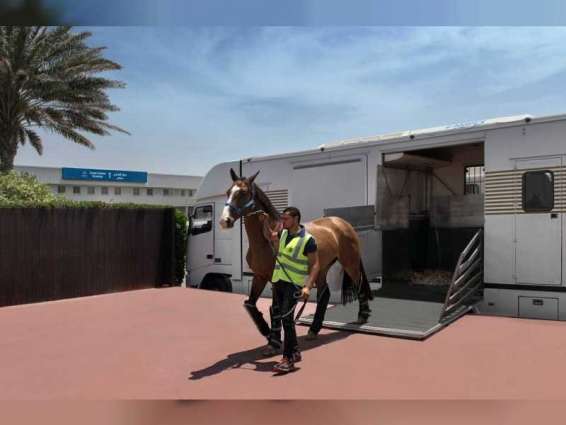 Sharjah Airport completes preparations to provide fast handling horse shipment service