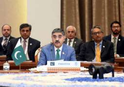 PM urges ECO countries to push for ceasefire in Gaza