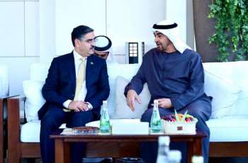 Meeting of the Caretaker Prime Minister of Pakistan with the President of the UAE