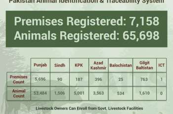 Livestock Department Registers 65, 698 Animals Under PITB Developed PAITS