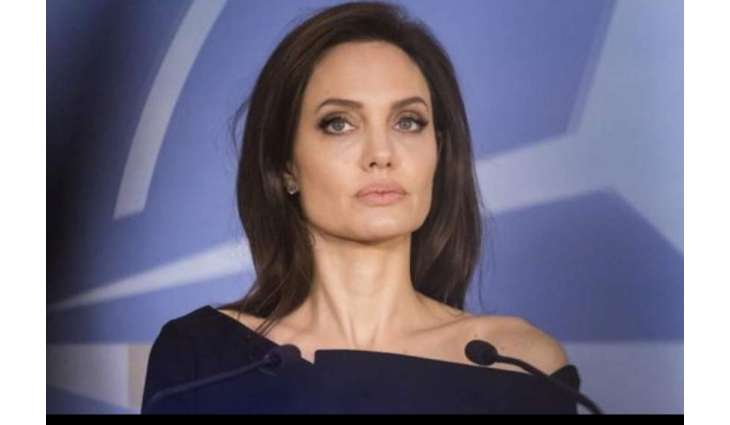 Angelina Jolie urges cease-fire after Israeli attack on Gaza refugee camp

 