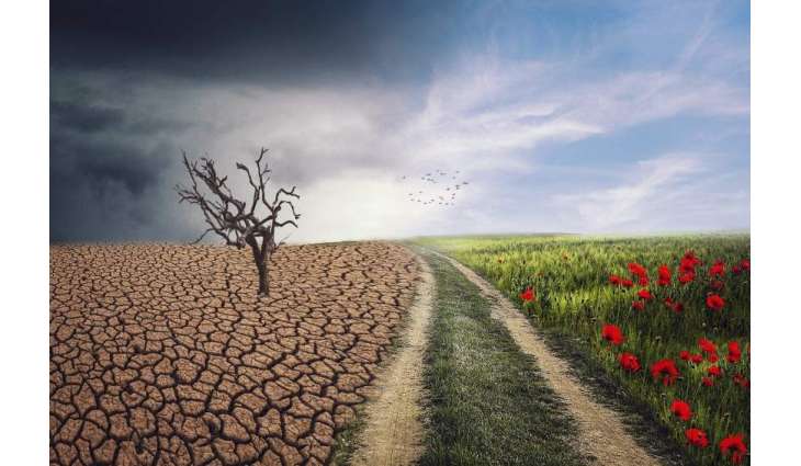 Climate change poses imminent threat to global biodiversity
