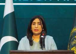 Pakistan calls for holding Israel accountable for its actions