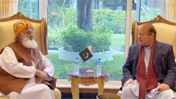 Fazl, Nawaz discuss seat adjustment, joint presidential candidate