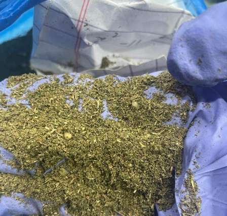 Dubai Customs Nabs Smuggler with 8.9 Kilos of Marijuana