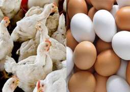 Broiler chicken, eggs’ price surge in local market