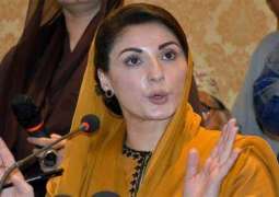 No political party except PML-N made substantial contributions, says Maryam Nawaz