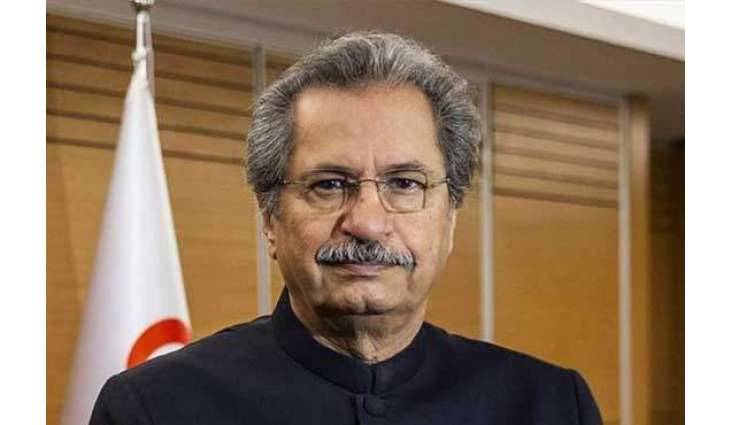 Shafqat Mahmood withdraws from electoral contest