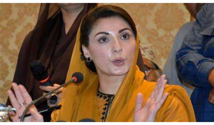No political party except PML-N made substantial contributions, says Maryam Nawaz