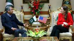 Washington ready to enhance cooperation with Punjab Govt in diverse sectors: Kristin