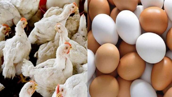 Broiler chicken, eggs’ price surge in local market