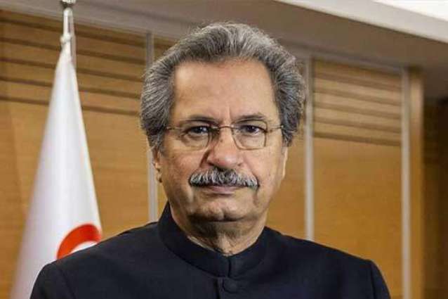 Shafqat Mahmood withdraws from electoral contest