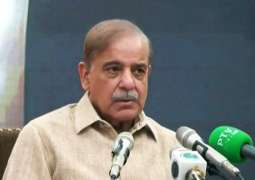 PML-N to assume role of opposition if independents can establish govt: Shehbaz Sharif