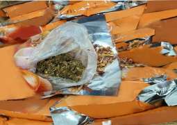 Dubai Customs Seizes 26.45 Kilograms of Marijuana Disguised in Red Onion Shipments