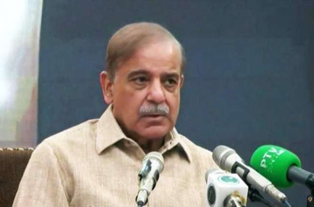 PML-N to assume role of opposition if independents can establish govt: Shehbaz Sharif


 