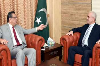 Pakistan will continue to provide moral, diplomatic support to Palestinian brothers: Aneeq