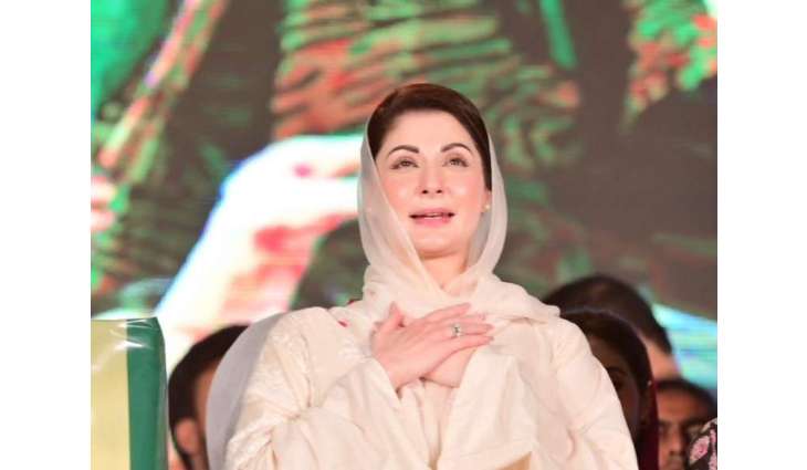Who is who in Punjab cabinet of Maryam Nawaz?
