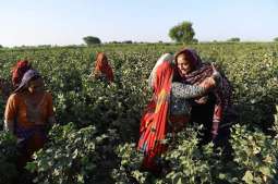 Implementation  of Sindh Agriculture Workers Act-2019 demanded