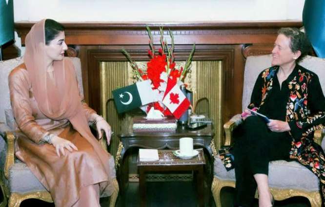 Canadian High Commissioner calls on Punjab CM
