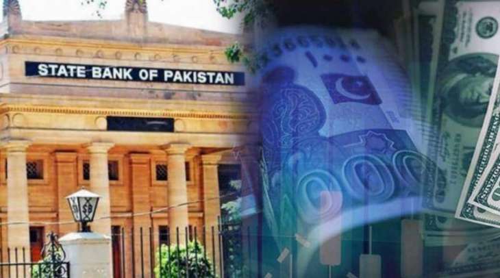Pakistan Foreign reserves rise above $7bn