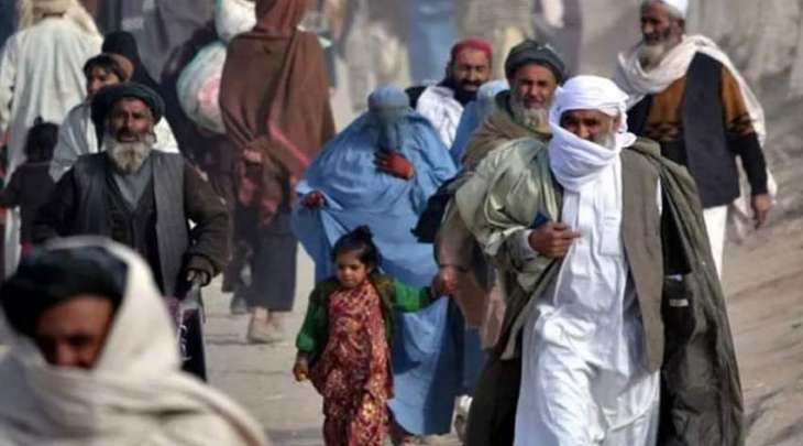 المنظمة الدولیة للھجرة توٴکد طرد أکثر من 520 ألف مھاجر أفغاني من باکستان