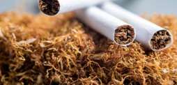 Pakistan among nine poor countries that produces 90 percent cigarettes for world