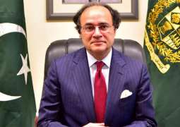 Pakistan requesting multi-billion-dollar loan programme from IMF: Finance Minister