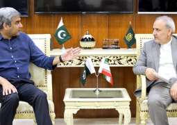 Iranian Ambassador discusses details of President’s visit with Mohsin Naqvi