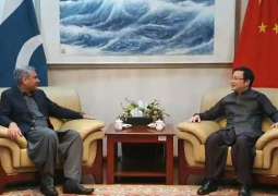 Interior Minister assures protection of Chinse nationals in Pakistan