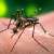 Dengue Control Committee gathers in Jhang