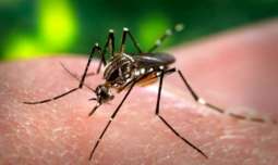 Dengue Control Committee gathers in Jhang
