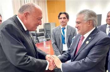 وزیر الخارجیة یجتمع بنظیرہ المصري علی ھامش القمة لمنظمة التعاون الاسلامي