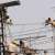 Rs.812.4 million fine imposed on 7774 power pilferers