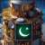 Pakistan's satellite mission ICUBE-Qamar milestone in space tech development: Gul
