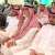 Saudi investors evince special interest in diverse fields