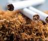 WHO Report debunks myths on illicit cigarette trade in Pakistan
