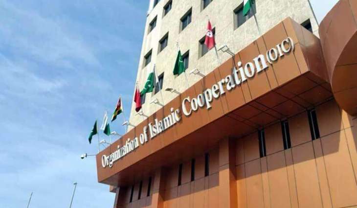 OIC Contact Group on Jammu & Kashmir calls for early resolution of J&K dispute