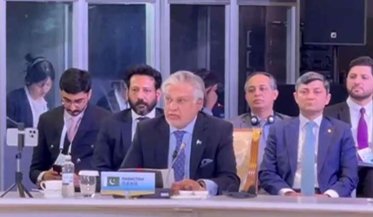 Pakistan's geostrategic location offers ideal trade, transit hub for SCO region: Dar


 