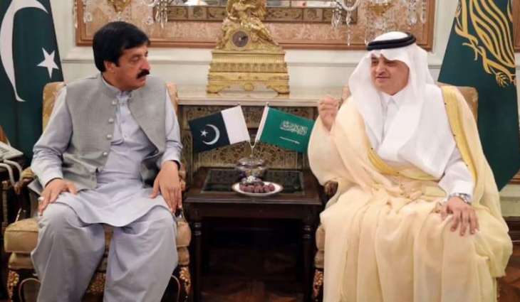Punjab Governor invites Saudi investors to invest in Pakistan