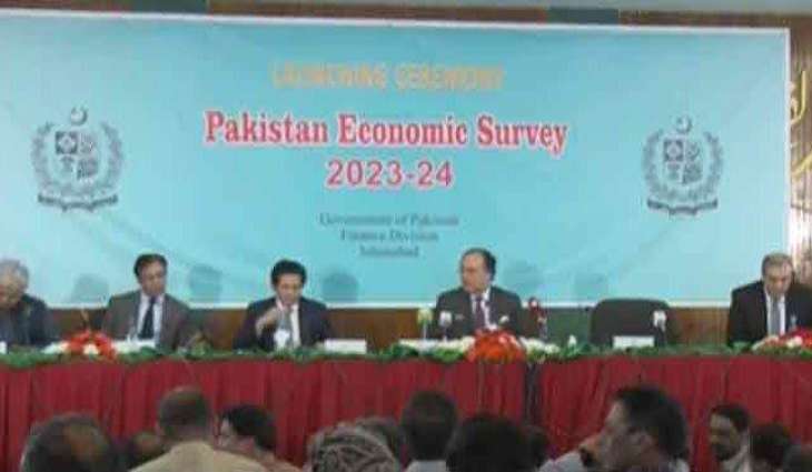 No option for Pakistan instead of going to IMF: Finance Minister