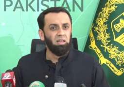 Govt to ban Pakistan Tehreek-e-Insaf:  Attaullah Tarar