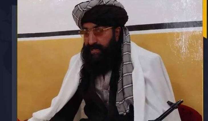 Pakistan to pursue legal action Against TTP leader Noor Wali Mehsud