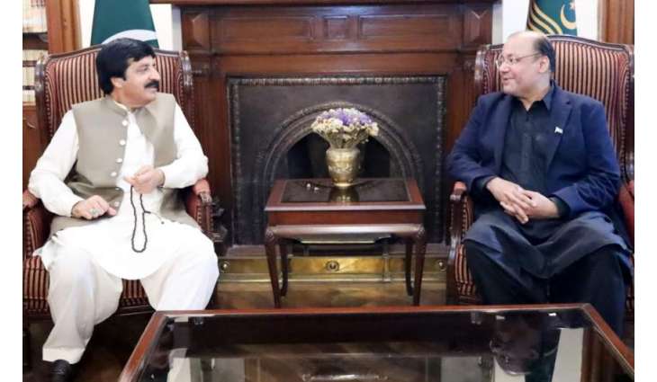 Chaudhry Shafay Hussain calls on Punjab Governor Sardar Saleem Haider Khan