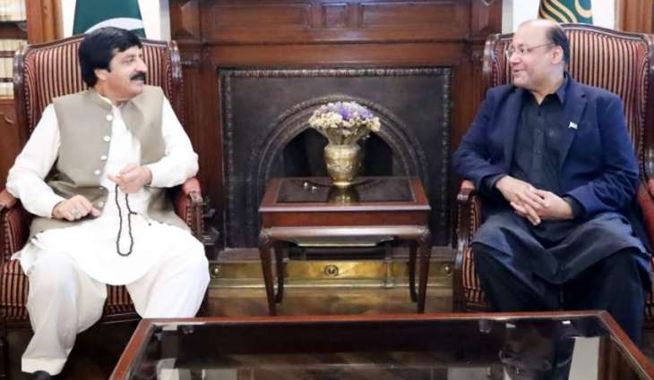 Chaudhry Shafay Hussain calls on Punjab Governor Sardar Saleem Haider Khan