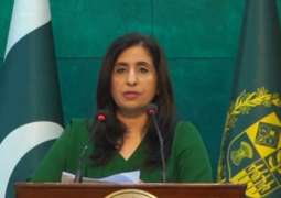 FO rejects OHCHR’s statement about constitutional amendment