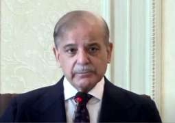 PM Shehbaz  directs relevant depts to take action against electricity theft