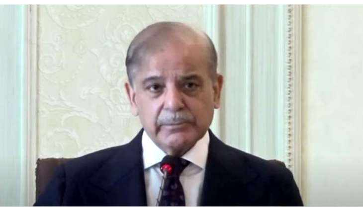 PM Shehbaz  directs relevant depts to take action against electricity theft