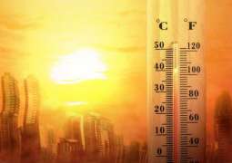 WMO confirms 2024 as warmest year on record